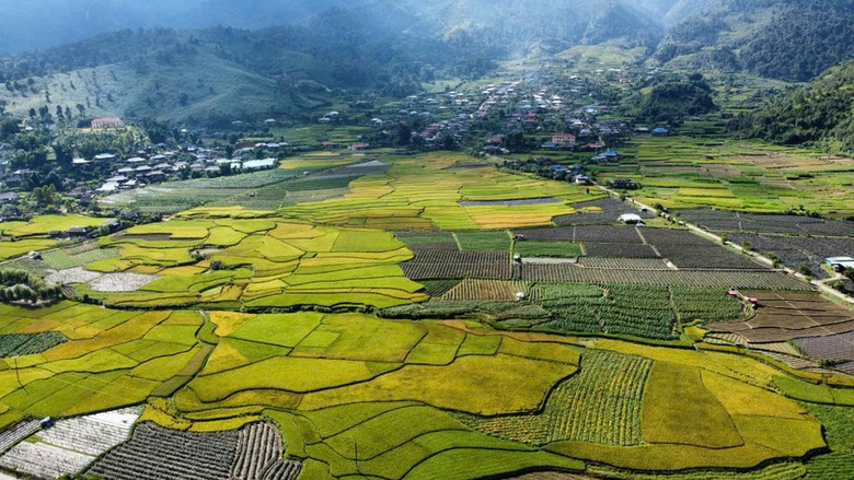 Tết cơm mới độc đ&aacute;o của người d&acirc;n T&acirc;y Bắc chờ đ&oacute;n tết Độc lập- Ảnh 7.