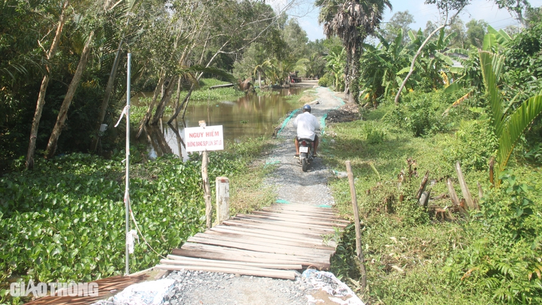 Bạc Li&ecirc;u c&oacute; th&ecirc;m 40 khu vực sạt lở bờ biển, bờ s&ocirc;ng d&agrave;i 81,5km- Ảnh 1.