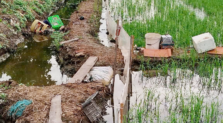 Người đ&agrave;n &ocirc;ng v&ocirc; t&igrave;nh g&acirc;y &aacute;n mạng v&igrave; bẫy chuột- Ảnh 2.