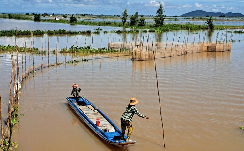 Đến An Giang m&ugrave;a nước nổi, nếm đặc sản c&aacute; linh non trứ danh- Ảnh 3.