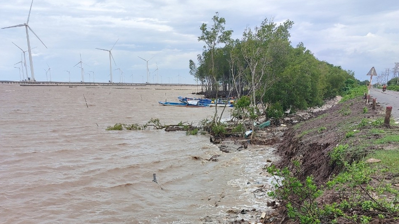 Bạc Li&ecirc;u: Đ&ecirc; biển Đ&ocirc;ng bị sạt lở nghi&ecirc;m trọng, nguy cơ vỡ đ&ecirc;- Ảnh 2.
