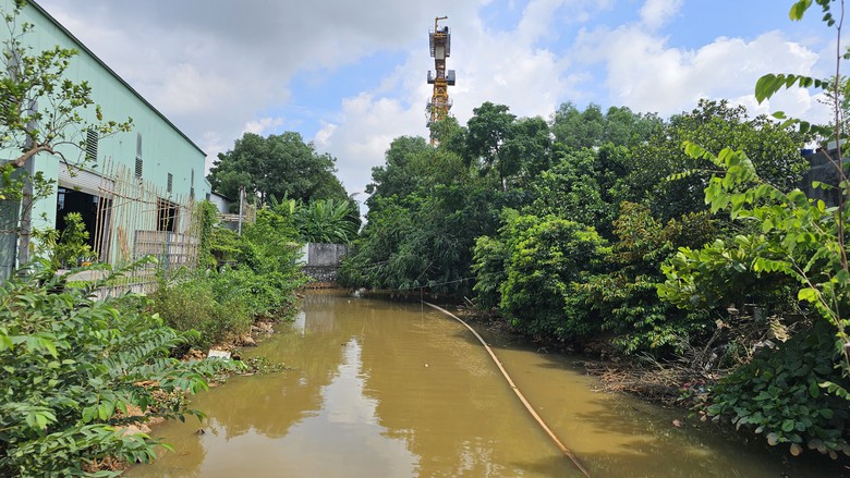 Hải Ph&ograve;ng: K&ecirc;nh Cẩm Văn II đổi m&agrave;u lạ, ch&iacute;nh quyền v&agrave;o cuộc- Ảnh 3.