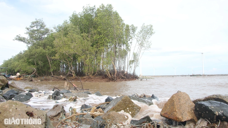 Chủ tịch Bạc Li&ecirc;u chỉ đạo xử l&yacute; khẩn cấp sạt lở đ&ecirc; biển Đ&ocirc;ng- Ảnh 2.