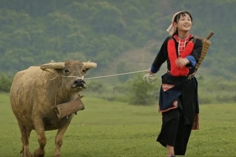 Phim "Đi giữa trời rực rỡ" vấp tranh c&atilde;i: &Ecirc;-k&iacute;p nhận lỗi, chưa hiểu văn h&oacute;a người Dao- Ảnh 2.