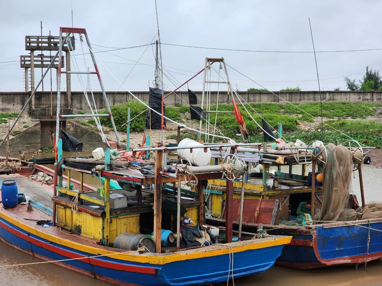 Một thuyền vi&ecirc;n thiệt mạng do rơi xuống biển Th&aacute;i B&igrave;nh- Ảnh 1.