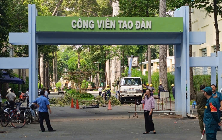Nh&aacute;nh c&acirc;y trong c&ocirc;ng vi&ecirc;n Tao Đ&agrave;n bị g&atilde;y, đ&egrave; 2 người tử vong, 3 người bị thương- Ảnh 2.