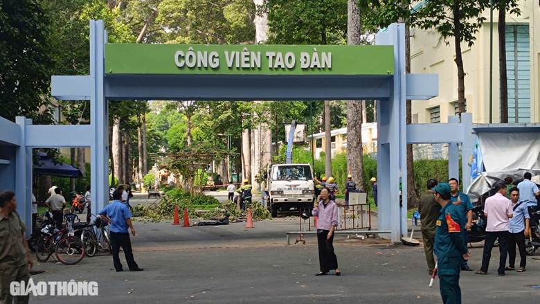 &Aacute;m ảnh vụ nh&aacute;nh c&acirc;y rơi đ&egrave; chết người ở c&ocirc;ng vi&ecirc;n Tao Đ&agrave;n- Ảnh 4.