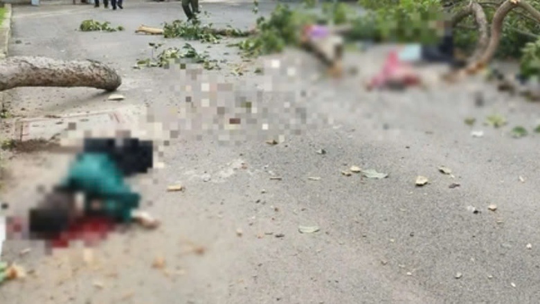 Nh&aacute;nh c&acirc;y trong c&ocirc;ng vi&ecirc;n Tao Đ&agrave;n bị g&atilde;y, đ&egrave; 2 người tử vong, 3 người bị thương- Ảnh 1.