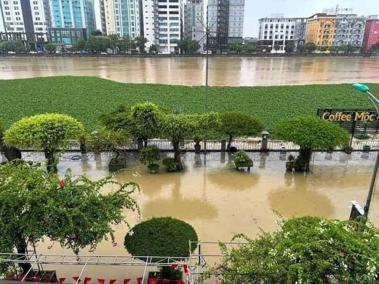 H&agrave;ng ngh&igrave;n người ở H&agrave; Nam gia cố đ&ecirc;, chạy lũ cả ng&agrave;y lẫn đ&ecirc;m- Ảnh 20.