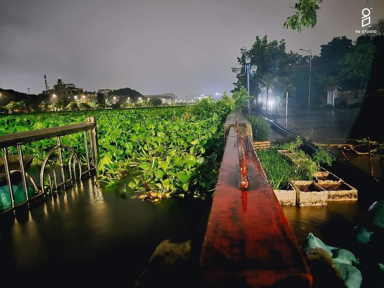 H&agrave;ng ngh&igrave;n người ở H&agrave; Nam gia cố đ&ecirc;, chạy lũ cả ng&agrave;y lẫn đ&ecirc;m- Ảnh 21.