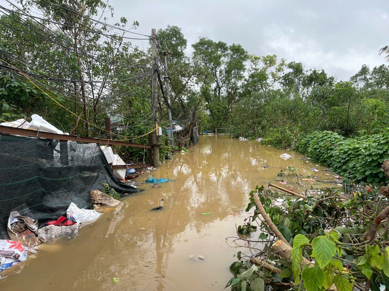 Nước s&ocirc;ng Hồng d&acirc;ng cao, người d&acirc;n ven s&ocirc;ng ở H&agrave; Nội gấp r&uacute;t chuyển đồ đạc- Ảnh 10.