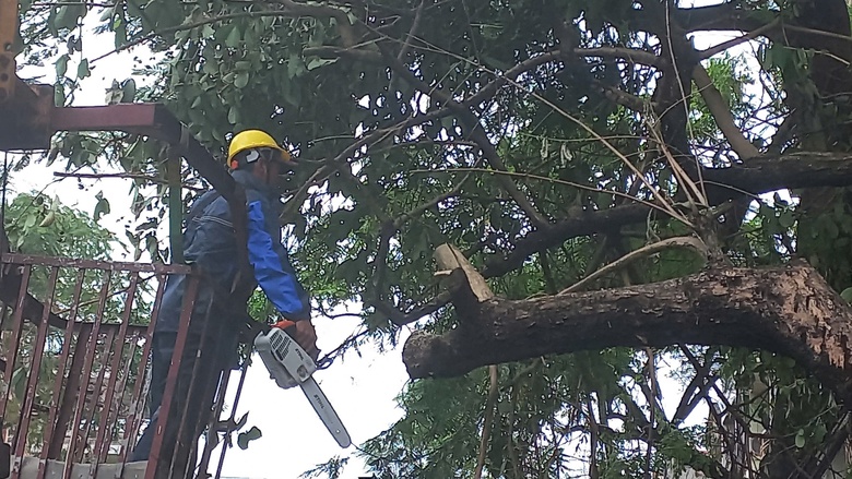 Thanh ni&ecirc;n t&igrave;nh nguyện khắp nơi hỗ trợ Hải Ph&ograve;ng khắc phục hậu quả b&atilde;o số 3- Ảnh 12.