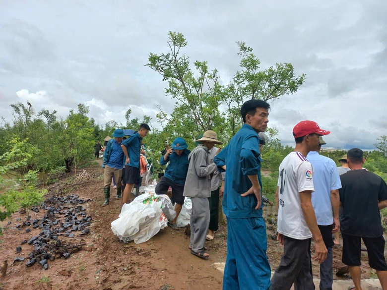 Th&ocirc;ng tin vỡ đ&ecirc; ở Th&aacute;i B&igrave;nh l&agrave; thất thiệt- Ảnh 3.