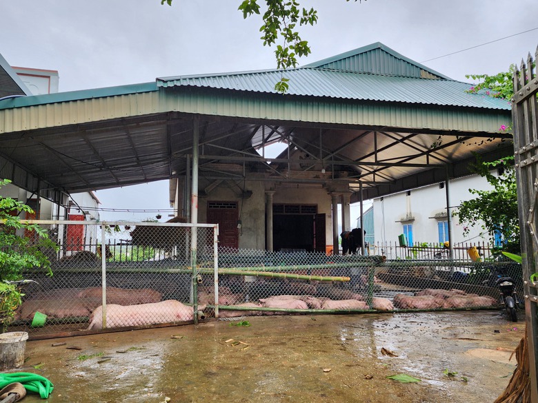 Tuy&ecirc;n Quang: Người d&acirc;n đắp đ&ecirc;, chạy lợn trong đ&ecirc;m- Ảnh 6.