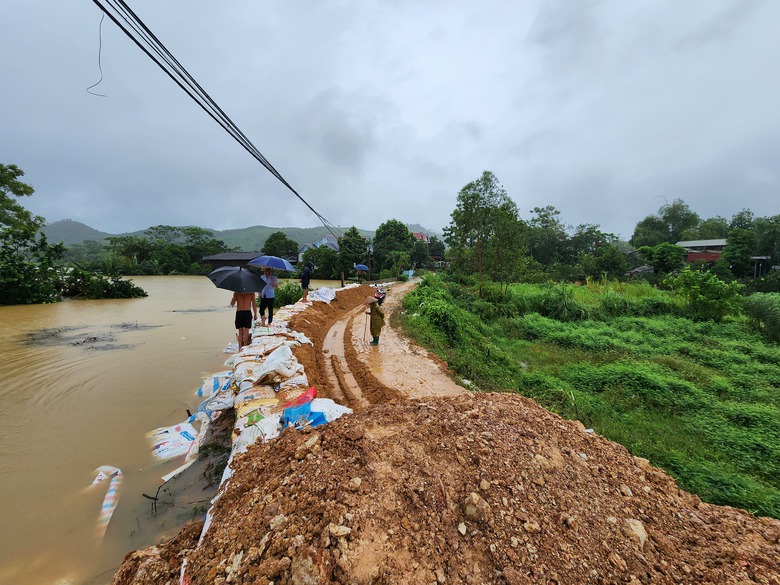 Tuy&ecirc;n Quang: Người d&acirc;n đắp đ&ecirc;, chạy lợn trong đ&ecirc;m- Ảnh 9.