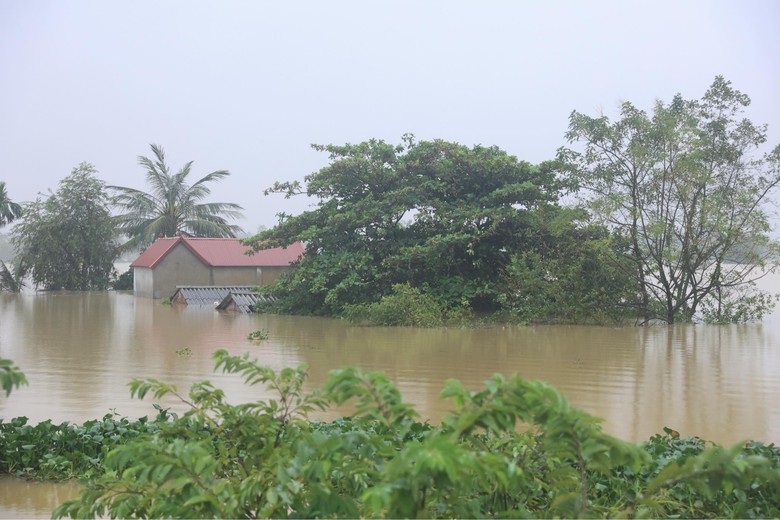 Nước tràn đê sông Bùi, nhiều nhà ở Chương Mỹ ngập ngang mái- Ảnh 3. Nước tràn đê sông Bùi, nhiều nhà ở Chương Mỹ ngập ngang mái- Ảnh 3.