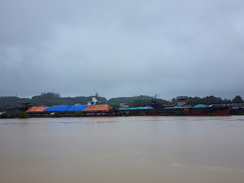 Nước l&ecirc;n cao, chưa thể v&aacute; đoạn đ&ecirc; s&ocirc;ng L&ocirc; nối Ph&uacute; Thọ v&agrave; Tuy&ecirc;n Quang- Ảnh 6.