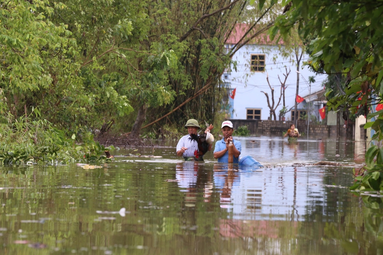 Nước tràn đê sông Bùi, nhiều nhà ở Chương Mỹ ngập ngang mái- Ảnh 6. Nước tràn đê sông Bùi, nhiều nhà ở Chương Mỹ ngập ngang mái- Ảnh 6.