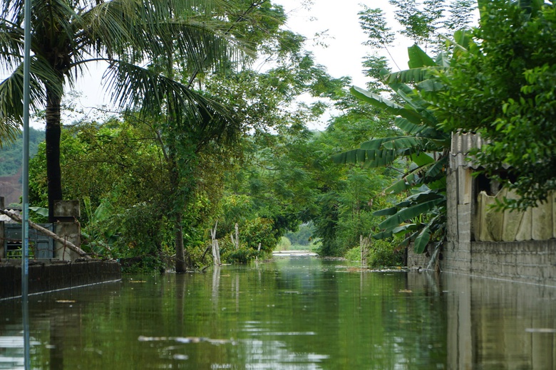 Lũ tr&ecirc;n s&ocirc;ng Bưởi d&acirc;ng cao, hơn 200 nh&agrave; d&acirc;n ở Thanh H&oacute;a bị ngập- Ảnh 5.