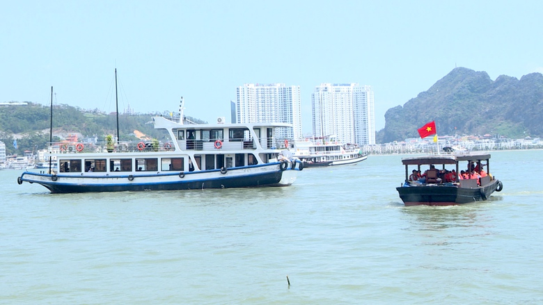 Sẵn sàng phục vụ các hành trình du lịch trên vịnh Hạ Long sau bão số 3- Ảnh 2. Sẵn sàng phục vụ các hành trình du lịch trên vịnh Hạ Long sau bão số 3- Ảnh 2.