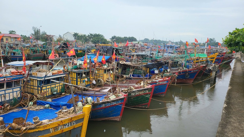 T&agrave;u c&aacute; Hải Ph&ograve;ng vươn khơi trở lại, gi&aacute; hải sản tươi sống tăng gấp đ&ocirc;i- Ảnh 1.