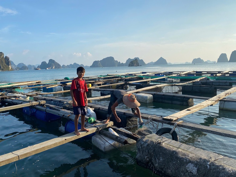 Ngư d&acirc;n Quảng Ninh "kh&oacute;c r&ograve;ng" sau b&atilde;o dữ, nhiều tỷ ph&uacute; bỗng trắng tay- Ảnh 3.