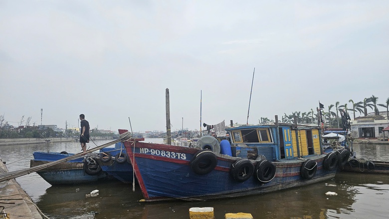 T&agrave;u c&aacute; Hải Ph&ograve;ng vươn khơi trở lại, gi&aacute; hải sản tươi sống tăng gấp đ&ocirc;i- Ảnh 2.