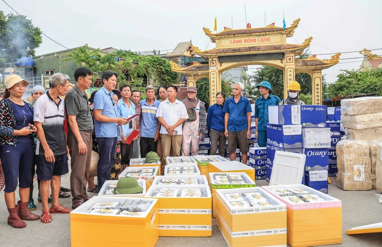 1.000 b&aacute;nh t&eacute;t Cần Thơ "bay" tới v&ugrave;ng lụt H&agrave; Nam chỉ sau nửa ng&agrave;y- Ảnh 1.