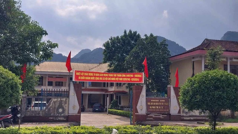 Bắt 1 c&aacute;n bộ quản l&yacute; dự &aacute;n li&ecirc;n quan đến vụ &aacute;n đấu thầu c&acirc;y xanh- Ảnh 1.