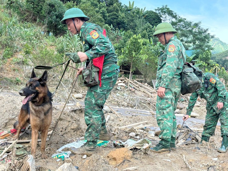 L&agrave;o Cai: Sử dụng ch&oacute; nghiệp vụ t&igrave;m kiếm 7 người c&ograve;n mất t&iacute;ch ở Nậm T&ocirc;ng- Ảnh 1.