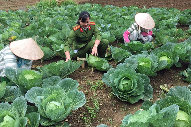 Đề xuất giam giữ phạm nh&acirc;n l&agrave; người chuyển giới, đồng t&iacute;nh ở buồng ri&ecirc;ng- Ảnh 1.