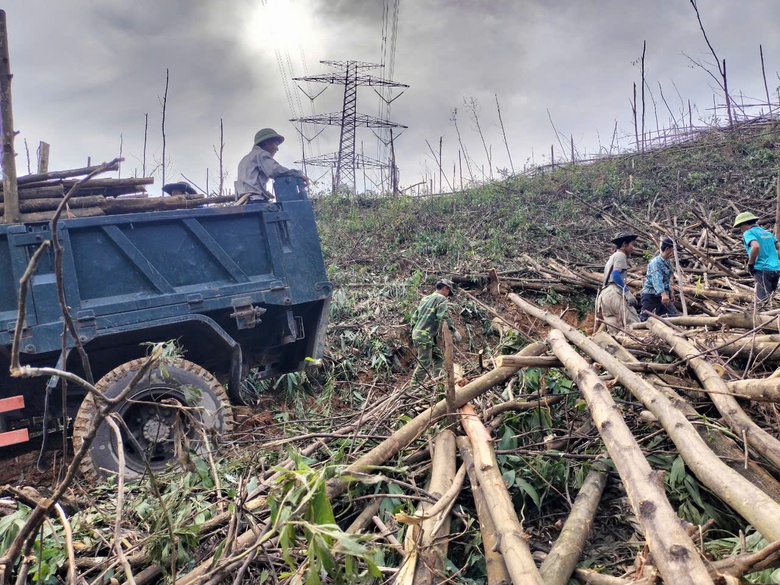 Quảng Ninh đề nghị c&aacute;c ng&acirc;n h&agrave;ng hỗ trợ kh&aacute;ch bị thiệt hại do b&atilde;o số 3- Ảnh 1.