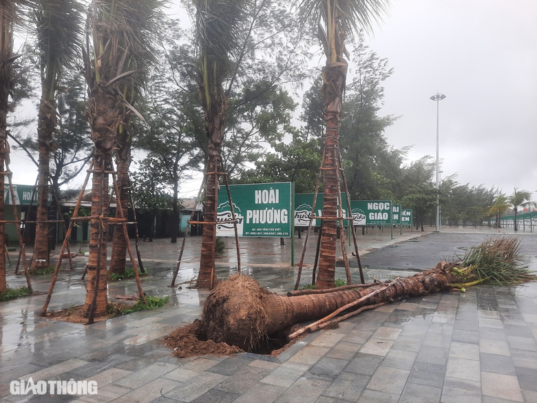 B&atilde;o số 4: Cầu tr&agrave;n quốc lộ 15D ngập, giao th&ocirc;ng &aacute;ch tắc, Quảng Trị mưa lớn- Ảnh 8.