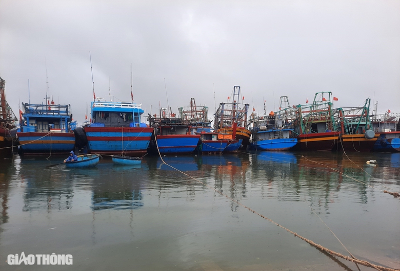B&atilde;o số 4: Cầu tr&agrave;n quốc lộ 15D ngập, giao th&ocirc;ng &aacute;ch tắc, Quảng Trị mưa lớn- Ảnh 7.