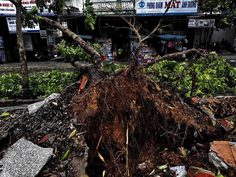 Quảng Bình: Di dời gần 1.000 hộ dân, nhiều khu vực miền núi bị chia cắt do bão số 4- Ảnh 1. Quảng Bình: Di dời gần 1.000 hộ dân, nhiều khu vực miền núi bị chia cắt do bão số 4- Ảnh 1.