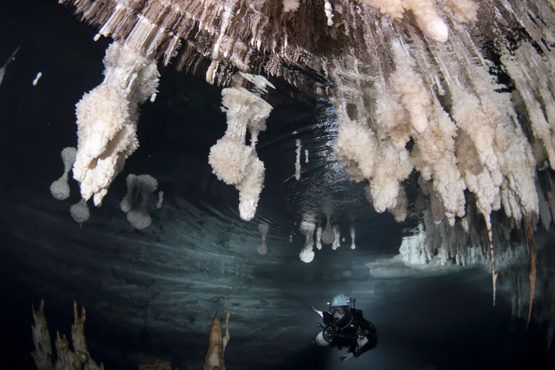 Ph&aacute;t hiện c&acirc;y cầu đ&aacute; cổ, h&eacute; mở b&iacute; ẩn về hoạt động của con người- Ảnh 2.