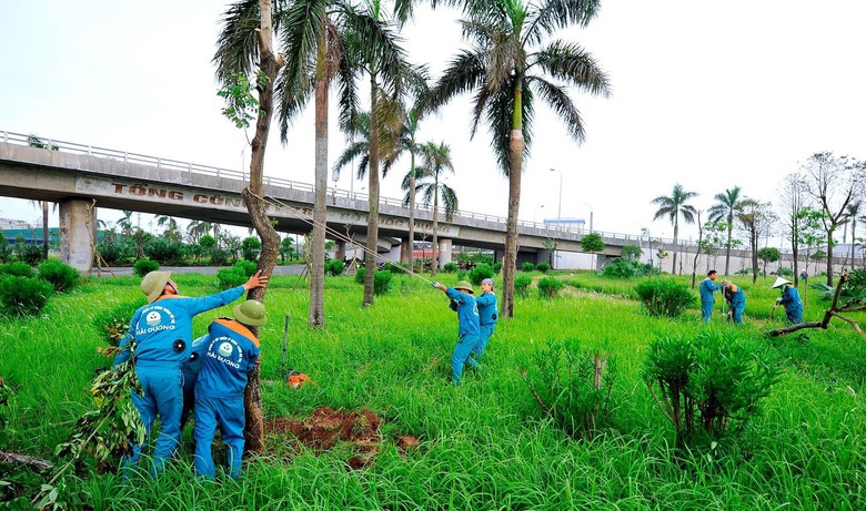 Hải Dương: Chống dựng, phun dinh dưỡng để phục hồi c&acirc;y xanh g&atilde;y đổ sau b&atilde;o- Ảnh 1.