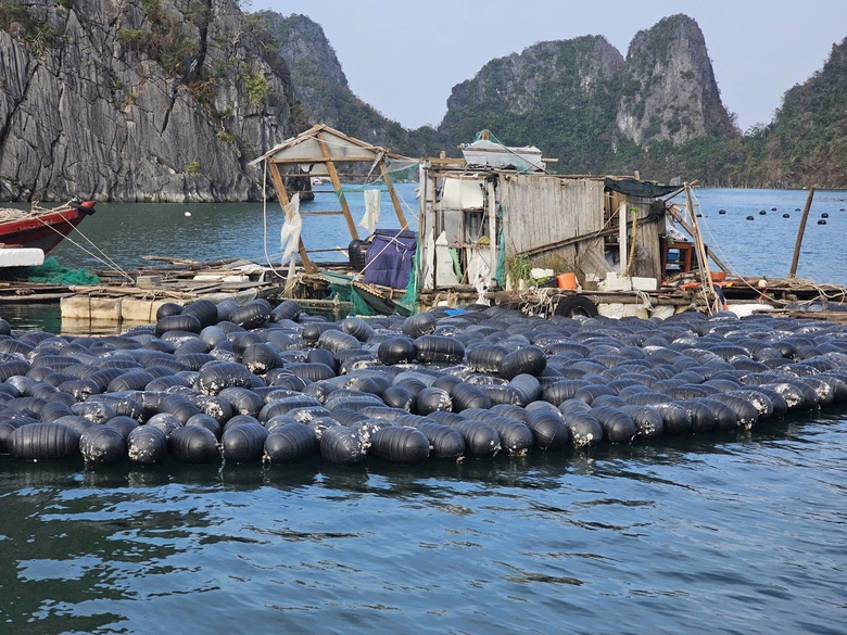Quảng Ninh c&aacute;ch n&agrave;o "thần tốc" phục hồi du lịch sau b&atilde;o Yagi?- Ảnh 1.