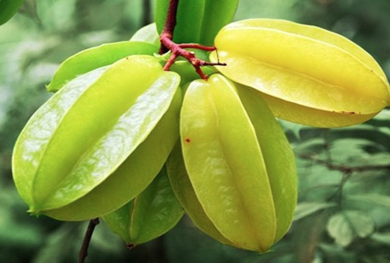 Loại quả thanh m&aacute;t, rẻ tiền b&aacute;n đầy chợ, người bệnh tiểu đường ăn cực tốt- Ảnh 1.