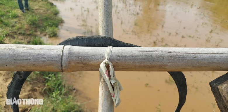 Kon Tum: Cả trăm cầu tạm, cầu d&acirc;n sinh xuống cấp, mất an to&agrave;n m&ugrave;a mưa lũ- Ảnh 7.