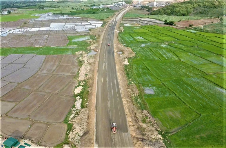 H&agrave;ng ngh&igrave;n c&acirc;y mai l&eacute;n mọc tr&ecirc;n ruộng, cản trở thi c&ocirc;ng cao tốc Kh&aacute;nh H&ograve;a - Bu&ocirc;n Ma Thuột- Ảnh 6.