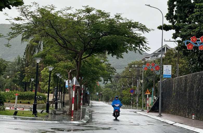 Chuyển mục đ&iacute;ch 1,92ha đất rừng đặc dụng để x&acirc;y dựng nh&agrave; m&aacute;y xử l&yacute; r&aacute;c tại C&ocirc;n Đảo- Ảnh 1.