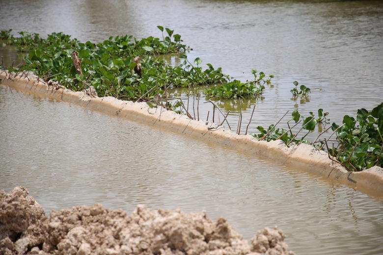 Bờ k&egrave; 80 tỷ ở Ki&ecirc;n Giang sạt lở sau 5 th&aacute;ng nghiệm thu: Kiểm tra to&agrave;n bộ dự &aacute;n- Ảnh 2.