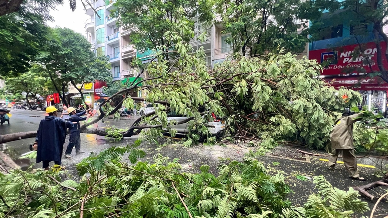 Nạn nh&acirc;n bị nh&aacute;nh c&acirc;y rơi tr&uacute;ng ở TP.HCM đ&atilde; tử vong- Ảnh 2.