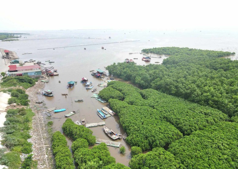 Hơn 1.300 người d&acirc;n ở Ninh B&igrave;nh sơ t&aacute;n tr&aacute;nh b&atilde;o Yagi- Ảnh 1.