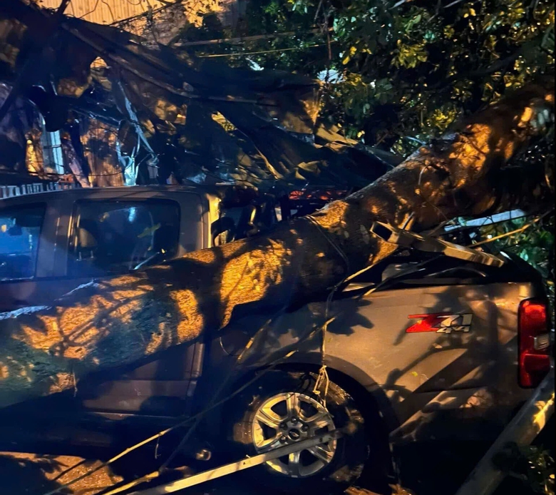 Mưa gi&ocirc;ng tại Vĩnh Ph&uacute;c l&agrave;m đổ c&acirc;y tại nhiều tuyến đường, tốc m&aacute;i trường học- Ảnh 3.