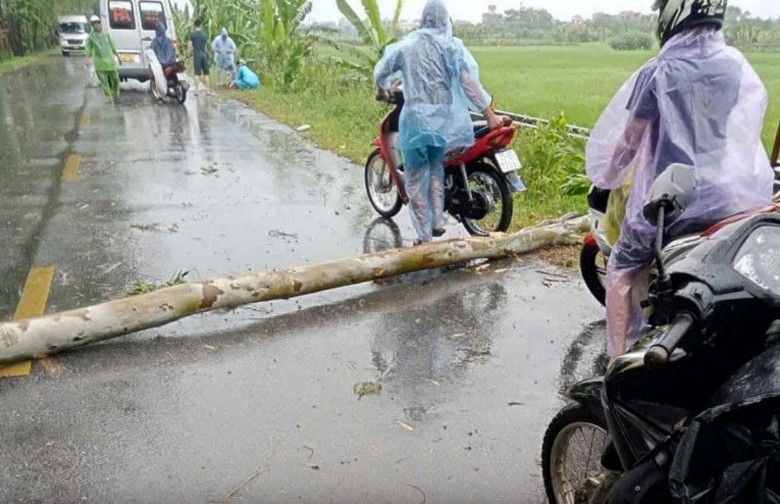 Do ảnh hưởng của cơn b&atilde;o số 3, c&acirc;y bạch đ&agrave;n b&ecirc;n đường tỉnh 392 bất ngờ đổ tr&uacute;ng người đ&agrave;n &ocirc;ng đang đi xe m&aacute;y tr&ecirc;n đường dẫn tới tử vong.
