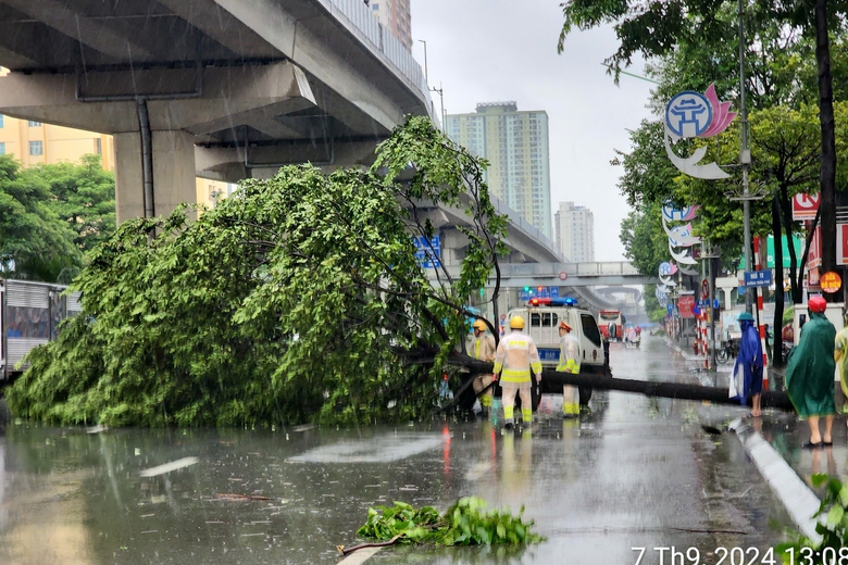 B&atilde;o số 3 Yagi đổ bộ: C&acirc;y đổ ngổn ngang, ngay trong mưa CSGT mang cưa, xe tải giải cứu- Ảnh 9.