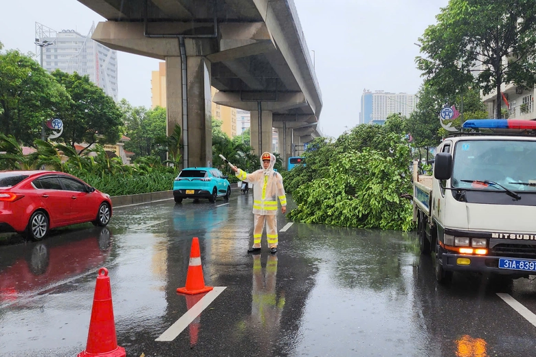 B&atilde;o số 3 Yagi đổ bộ: C&acirc;y đổ ngổn ngang, ngay trong mưa CSGT mang cưa, xe tải giải cứu- Ảnh 6.