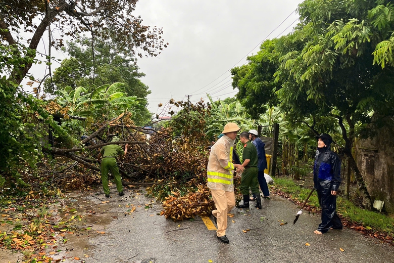 B&atilde;o số 3 Yagi đổ bộ: C&acirc;y đổ ngổn ngang, ngay trong mưa CSGT mang cưa, xe tải giải cứu- Ảnh 7.
